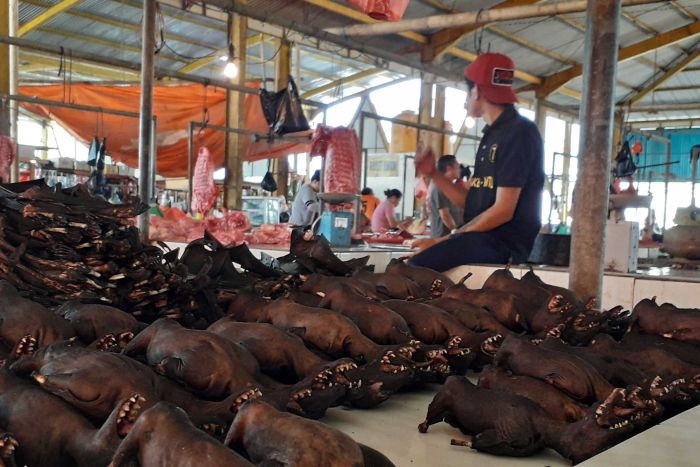 Hindari Virus Corona, Pasar Tomohon di Sulawesi Utara Berhenti Jual Daging Kelelawar dan Ular