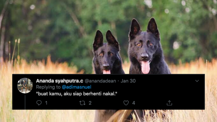 Nggak Cuma “Guk Guk Guk”, Ternyata Inilah Suara Anjing yang Sering Didengar. Kita Nggak Sadar Aja~