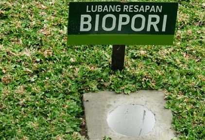 Biopori