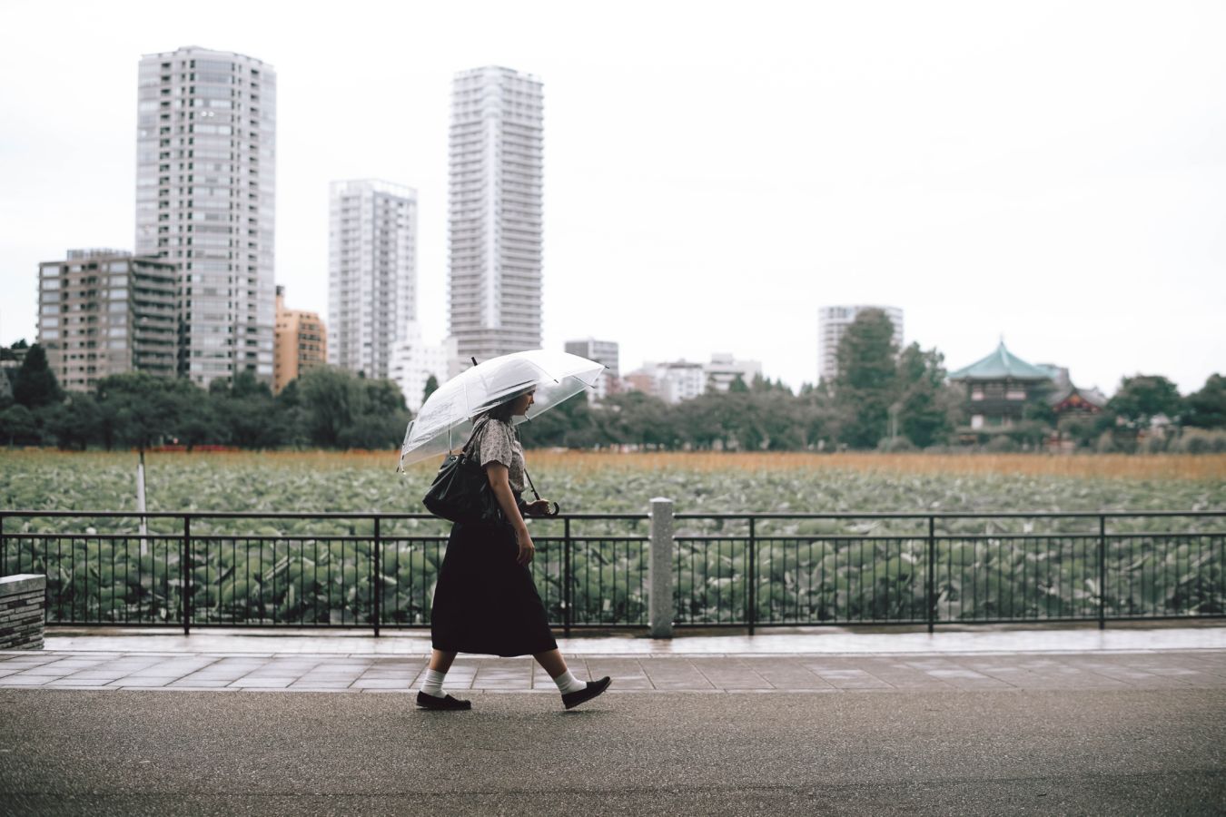 9 Foto Ini Gambarkan Budaya 'Super Solo' di Jepang, Saat Orang Senang Lakukan Apapun Sendirian