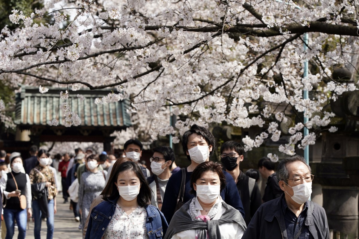 Meski Festival Hanami Dilarang, Tapi Warga Tokyo Tetap Ramai Menikmati Mekarnya Sakura