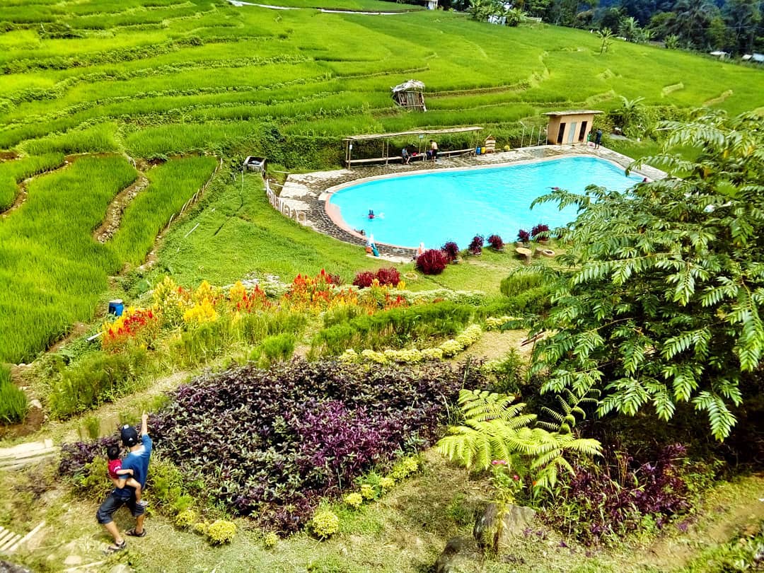 Pagubugan Melung, Kolam Renang yang Indah di Tengah Persawahan Banyumas. Seger Banget Sih!