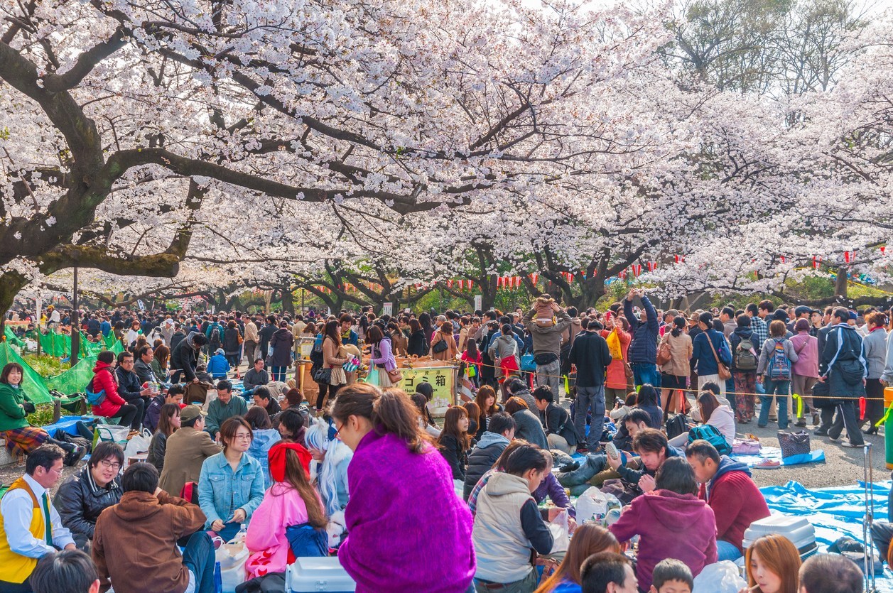 Wabah Corona Makin Parah, Pemerintah Tokyo Tiadakan Perayaan Hanami di Musim Sakura