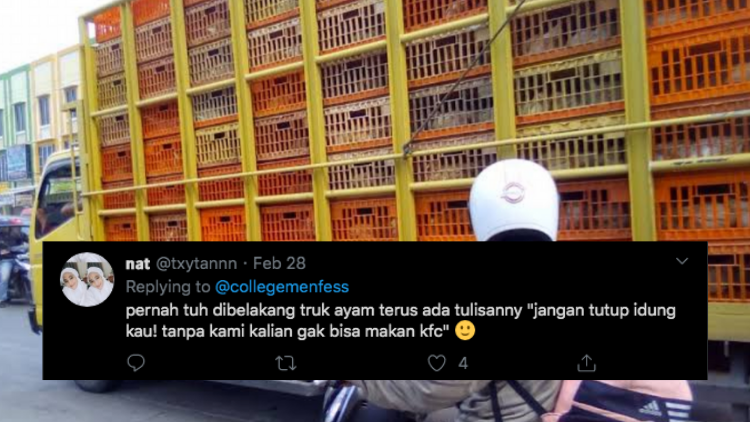 Isi Hati Pengendara Motor yang Saban Pagi Ketemu Truk Pengangkut Ayam, Kamu Pernah Juga?