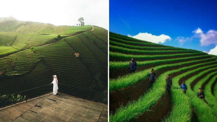 Terasering Panyaweuyan, Destinasi yang Lagi Hits di Majalengka. Begitu Indah dan Memanjakan Mata!