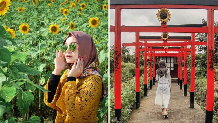 Narmada Botanic Garden, Taman Bunga Warna-warni di Lombok. Tempatnya Asyik Banget Sih!