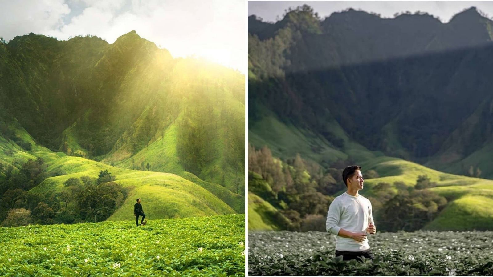 Taman Galuh Bondowoso, Perbukitan Indah dengan Pemandangan Alam Bagaikan New Zealand