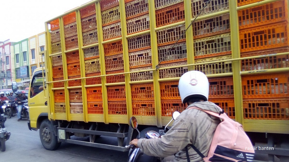 9 Hal Apes yang Paling Dibenci Pengendara Motor Saat Berhenti di Lampu Merah. Bikin Mood Jelek!