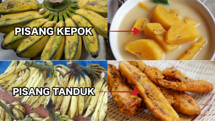 8 Jenis Pisang dan Olahannya yang Cocok. Jangan Asal, Nggak Semuanya Enak Dibikin Kolak lo!