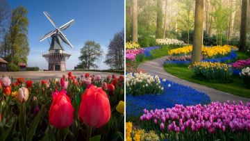 Potret Taman Bunga Keukenhof yang Luar Biasa Indah Meski Tengah Ditutup. Nggak Ada Turis Sama Sekali!