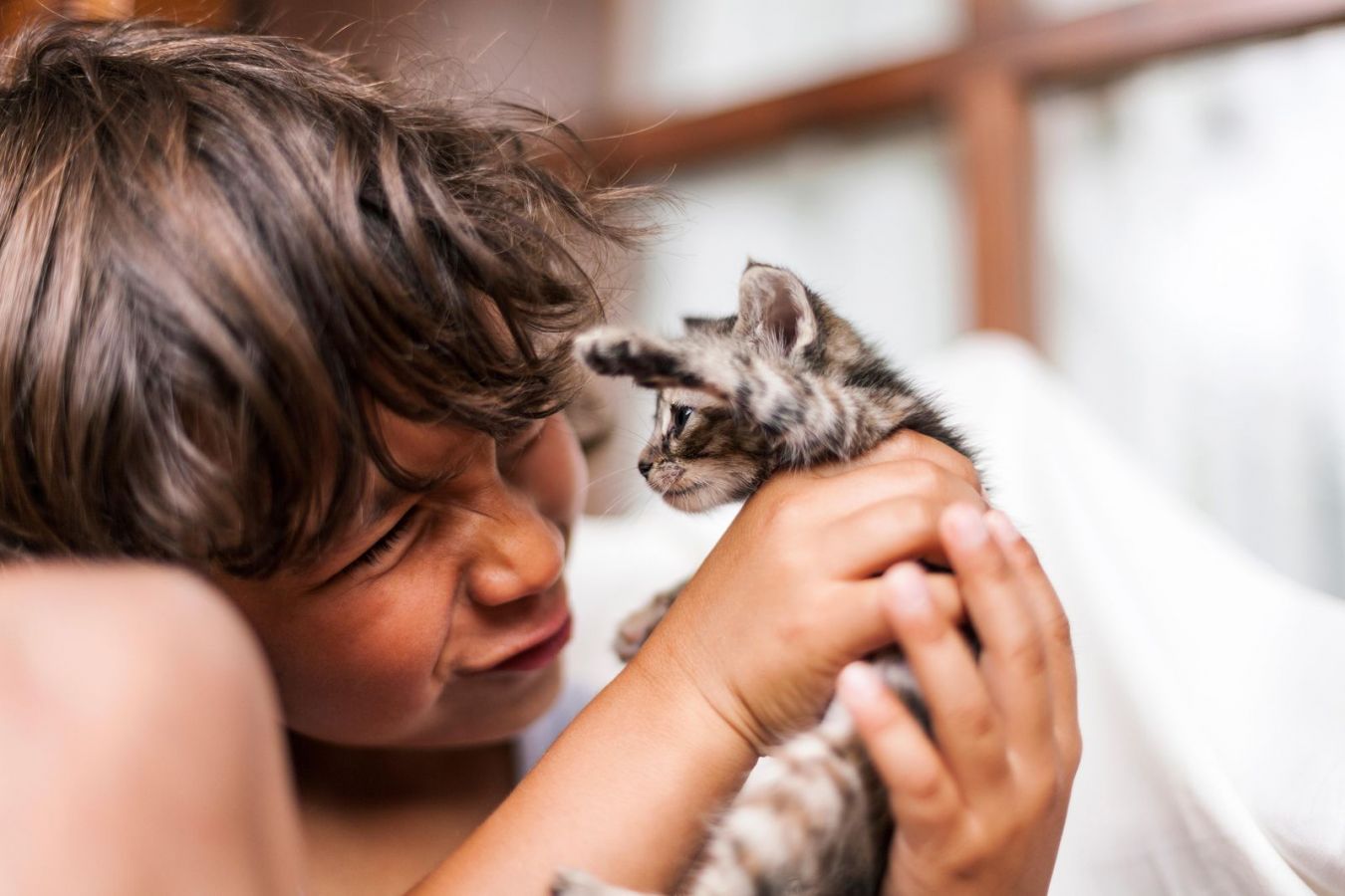 5 Pengabdian Luar Biasa Manusia pada Kucing. Tetep Cinta Meskipun Sering Diperbudak dan Disakiti~