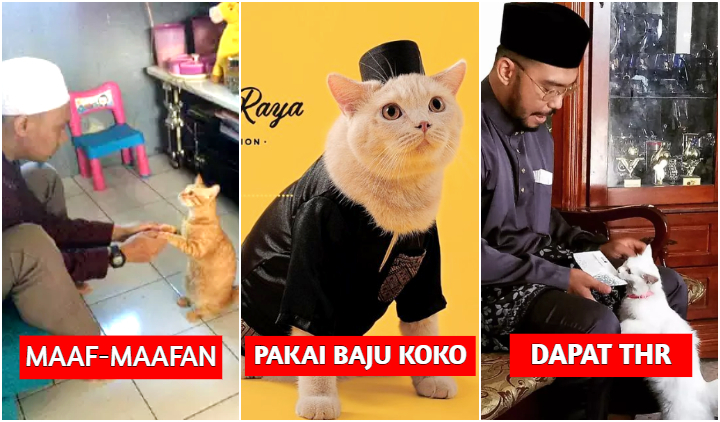 10 Kelucuan Kucing Seandainya Ikut Merayakan Lebaran. Dari Salat Id sampai Dapat THR, Gemes!