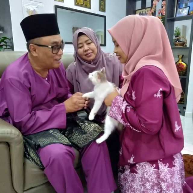 11 Potret Kocak Kucing Ikut Halalbihalal. Gitu dong, Minta Maaf karena Suka Ambil Makan Tanpa Izin!