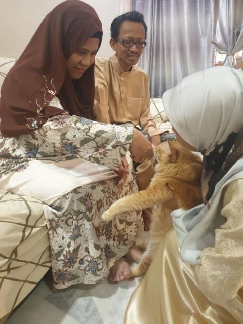 11 Potret Kocak Kucing Ikut Halalbihalal. Gitu dong, Minta Maaf karena Suka Ambil Makan Tanpa Izin!