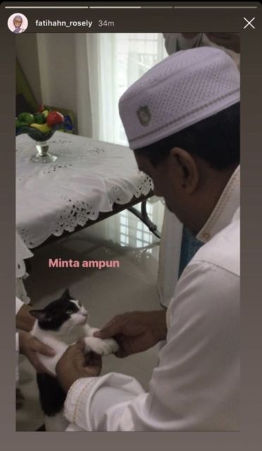 11 Potret Kocak Kucing Ikut Halalbihalal. Gitu dong, Minta Maaf karena Suka Ambil Makan Tanpa Izin!