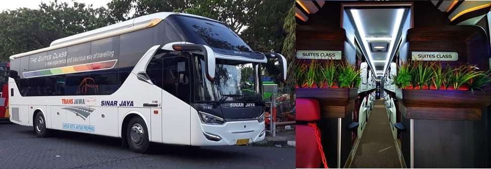 Mengintip Sleeper Bus Mewah yang Punya Desain Physical Distancing untuk Menyambut New Normal