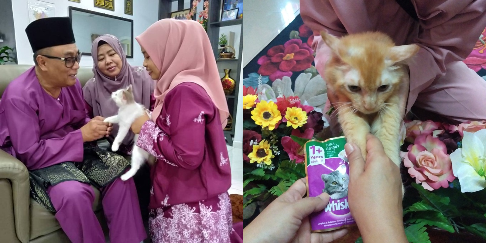 11 Potret Kocak Kucing Ikut Halalbihalal. Gitu dong, Minta Maaf karena Suka Ambil Makan Tanpa Izin!