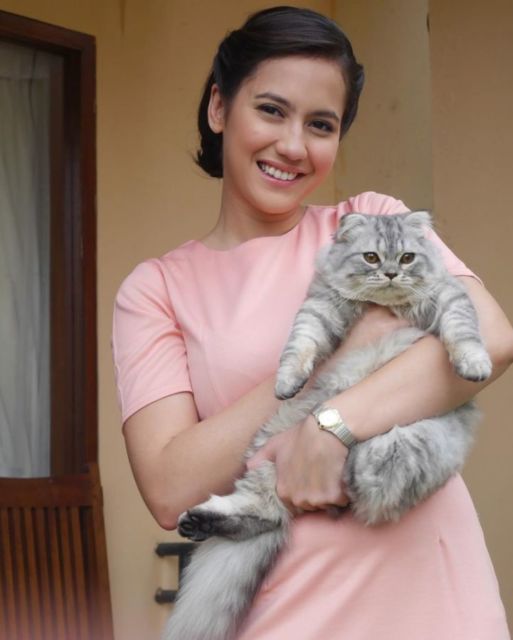 10 Artis yang Ternyata Bucing alias Budak Kucing. Sayang Banget sama Peliharaan Mereka yang Satu ini