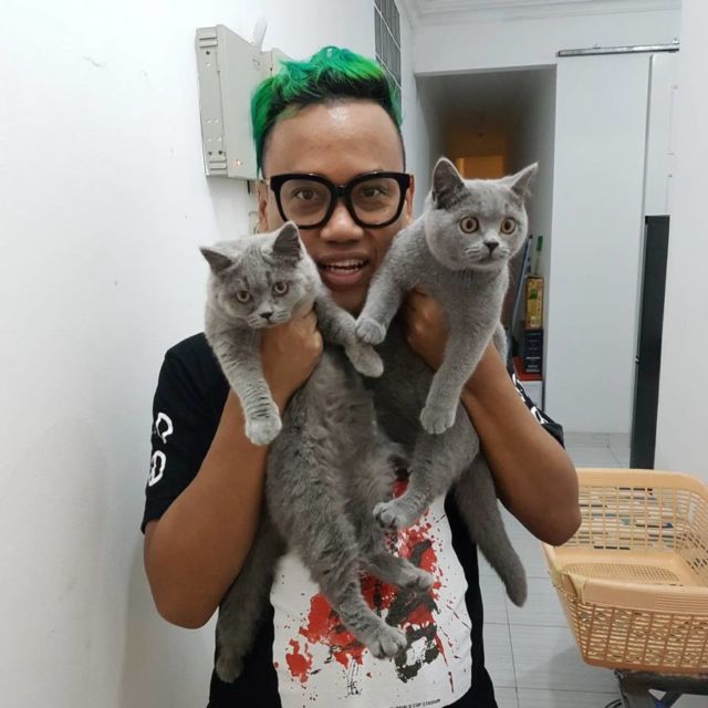 10 Artis yang Ternyata Bucing alias Budak Kucing. Sayang Banget sama Peliharaan Mereka yang Satu ini