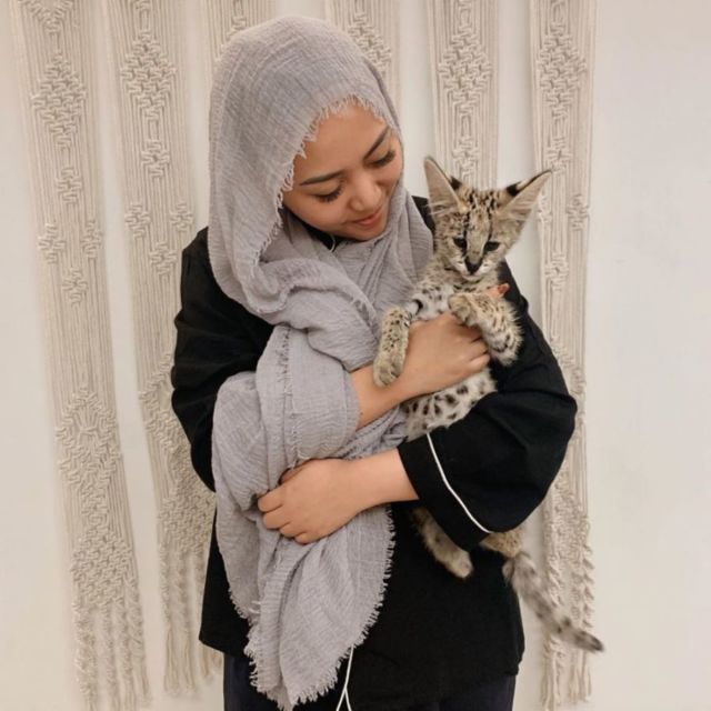 10 Artis yang Ternyata Bucing alias Budak Kucing. Sayang Banget sama Peliharaan Mereka yang Satu ini