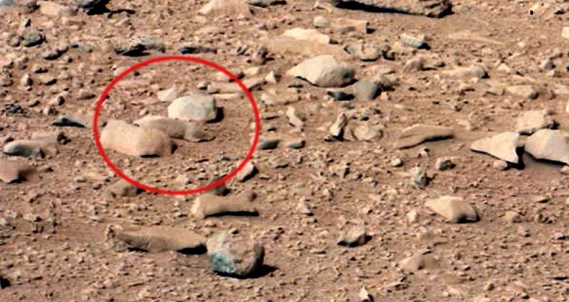 Dari Wajah Manusia sampai Tupai yang Lagi Rebahan, ini 7 Foto Aneh dan Unik dari Planet Mars