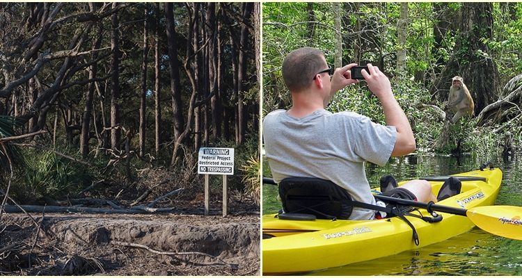 Mengintip Keunikan Pulau Morgan di Amerika Serikat. Pulau Indah yang Hanya Dihuni Ribuan Monyet