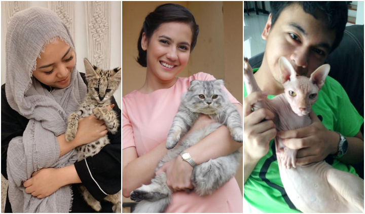 10 Artis yang Ternyata Bucing alias Budak Kucing. Sayang Banget sama Peliharaan Mereka yang Satu ini