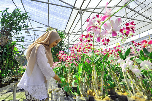 Macam-Macam Benda di Rumah yang Dijaga Ketat oleh Ibu. Pokoknya Kita Nggak Boleh Pegang!