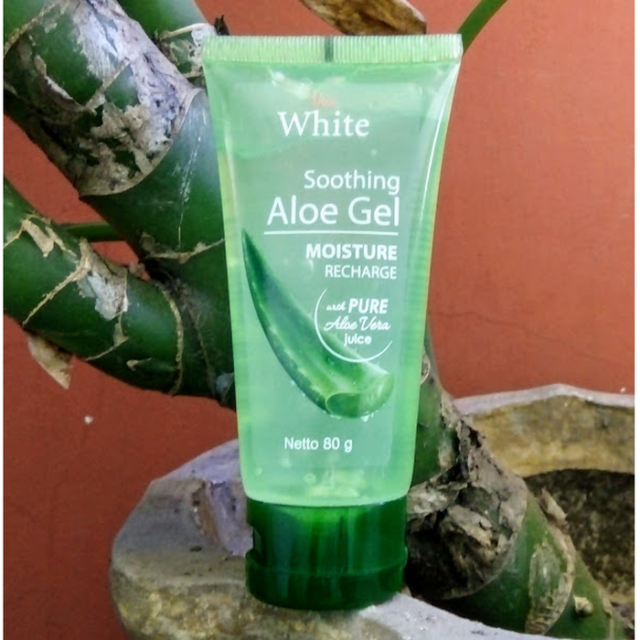 4 Aloe Vera Gel Lokal yang Kualitasnya Nggak Kalah Sama Brand Korea. Di Bawah 40 Ribu Semua!