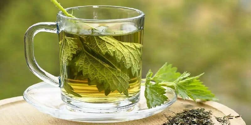 11 Macam Jamu Tradisional yang Khasiatnya Bisa Menggemukkan Badan Hingga Tingkatkan Kesuburan