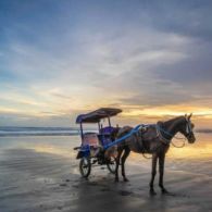 Buat yang Rindu Pantai Parangtritis tapi Belum Bisa ke Sana, Baca Ini deh~