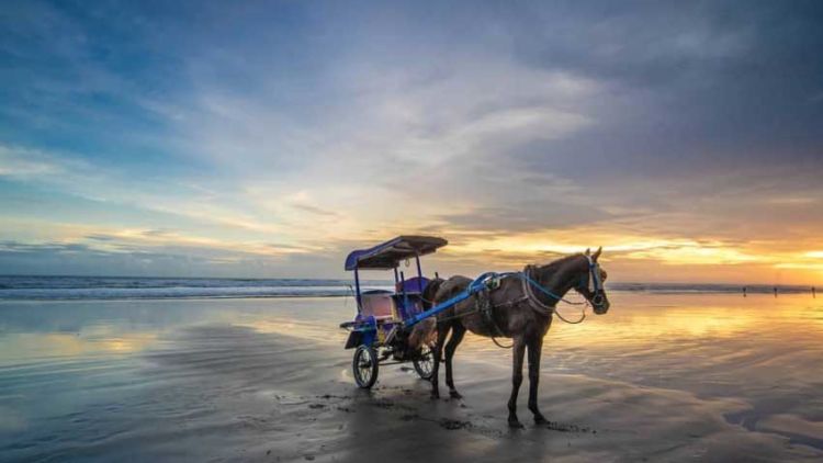 Buat yang Rindu Pantai Parangtritis tapi Belum Bisa ke Sana, Baca Ini deh~