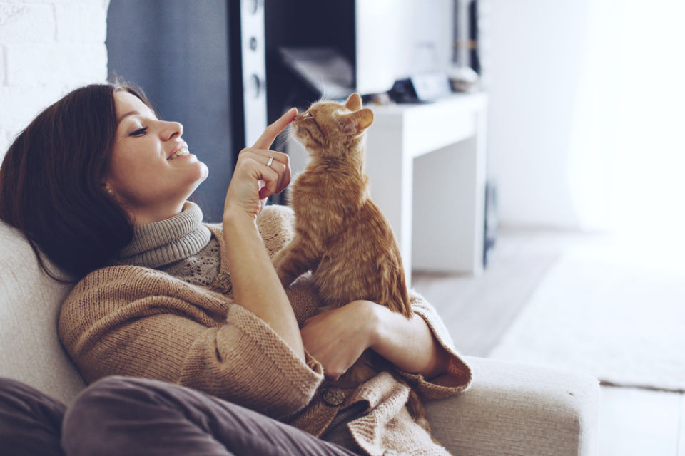 Ternyata Jadi Kucing itu Susah lo, Kerjanya Nggak Cuma Goleran dan Bikin Kesel Aja Kok~