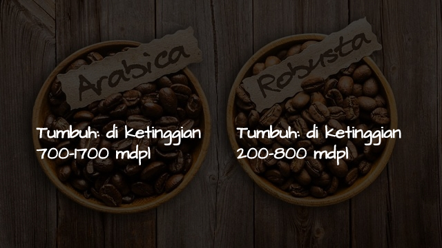 Tak Hanya Soal Rasa, ini 5 Perbedaan Kopi Arabika & Robusta. Yang Ngaku Anak Kopi Wajib Tahu, ya!