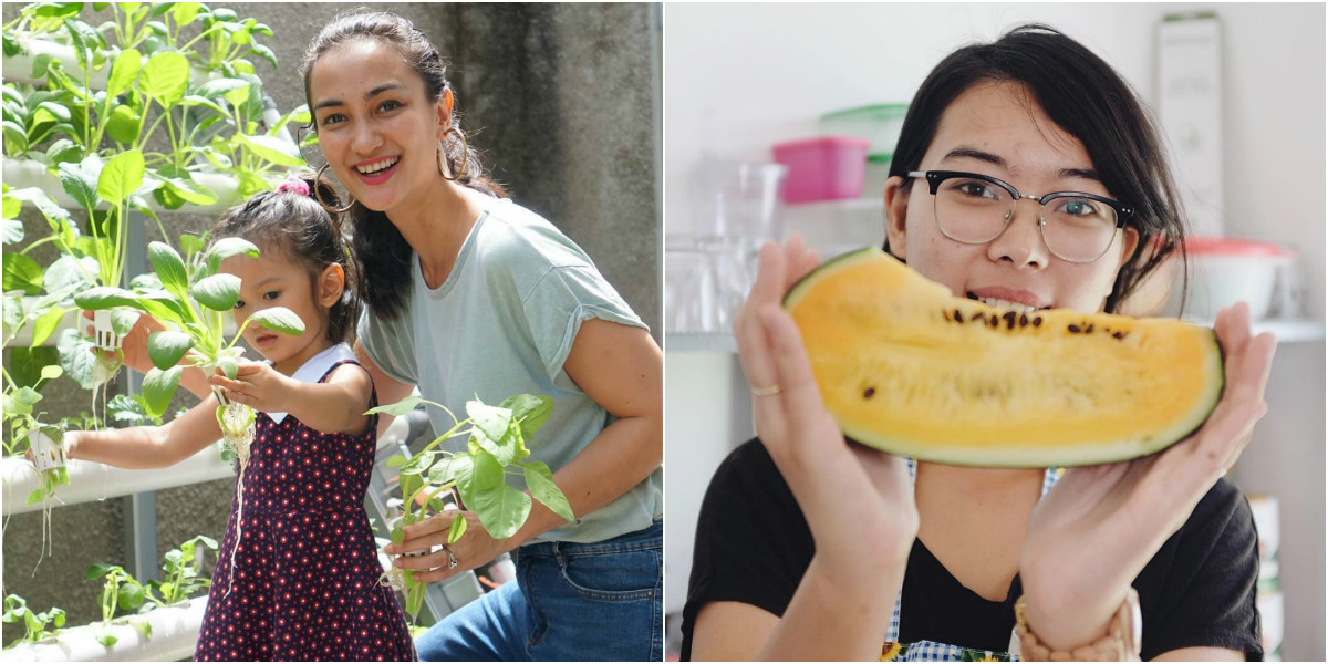 8 Artis yang Manfaatkan Swakarantina untuk Berkebun. Hasil Panennya Udah Bisa Dinikmati Sendiri!