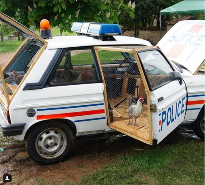 11 Fungsi Kocak Mobil yang Belum Banyak Orang Tahu. Biar Nggak Cuma Dipakai buat Jalan-Jalan Aja~