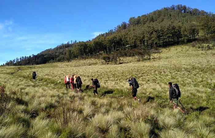 Terjatuh dari Ketinggian 7 Meter, Seorang Pendaki Meninggal di Gunung Lawu. Begini Kronologis Kejadiannya!