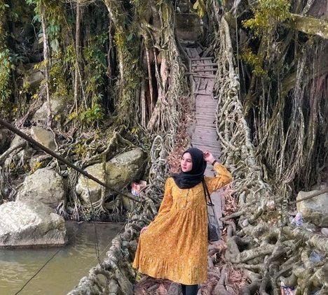 Jembatan Akar Sumbar, Pesona Wisata yang Ada di Negeri Sendiri