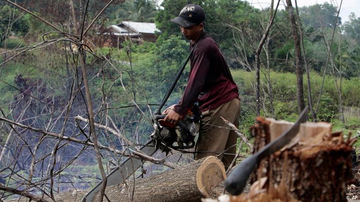 Setiap Enam Detik, Hutan Seluas Lapangan Bola Rusak. Pandemi Gini Ternyata Bikin Makin Parah!