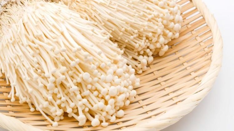 Asal Usul Jamur Enoki yang Diduga Jadi Penyebab Penyakit Listeria