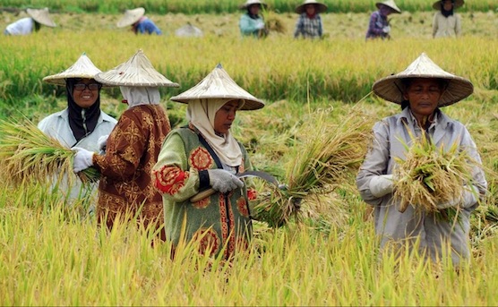 7 Kata dalam Bahasa Indonesia ini Ternyata Ada Kepanjangannya! Pasti Masih Banyak yang Belum Tahu~