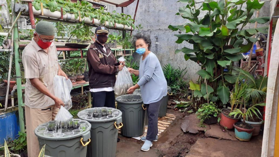 Tren Berkebun di Tengah Pandemi: Mudah, Menyenangkan, Hasilnya pun Bisa Dikonsumsi Sendiri