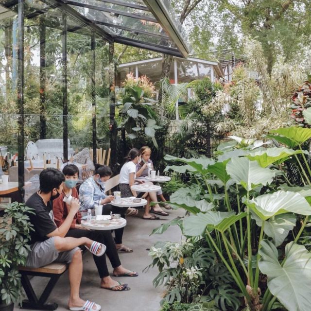 10 Kafe Tersembunyi dalam Hutan yang Bisa Kamu Kunjungi. Seru Nih Buat Pecinta Kafe 'Aesthetic!'