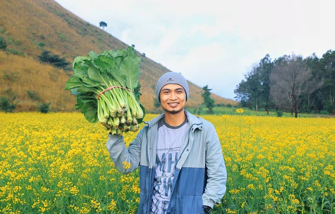 Hamparan Bunga Indah di Bondowoso yang Mirip dengan Pulau Jeju, Korea. Indah Banget Sih!