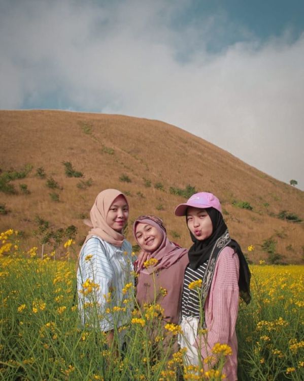 Hamparan Bunga Indah di Bondowoso yang Mirip dengan Pulau Jeju, Korea. Indah Banget Sih!