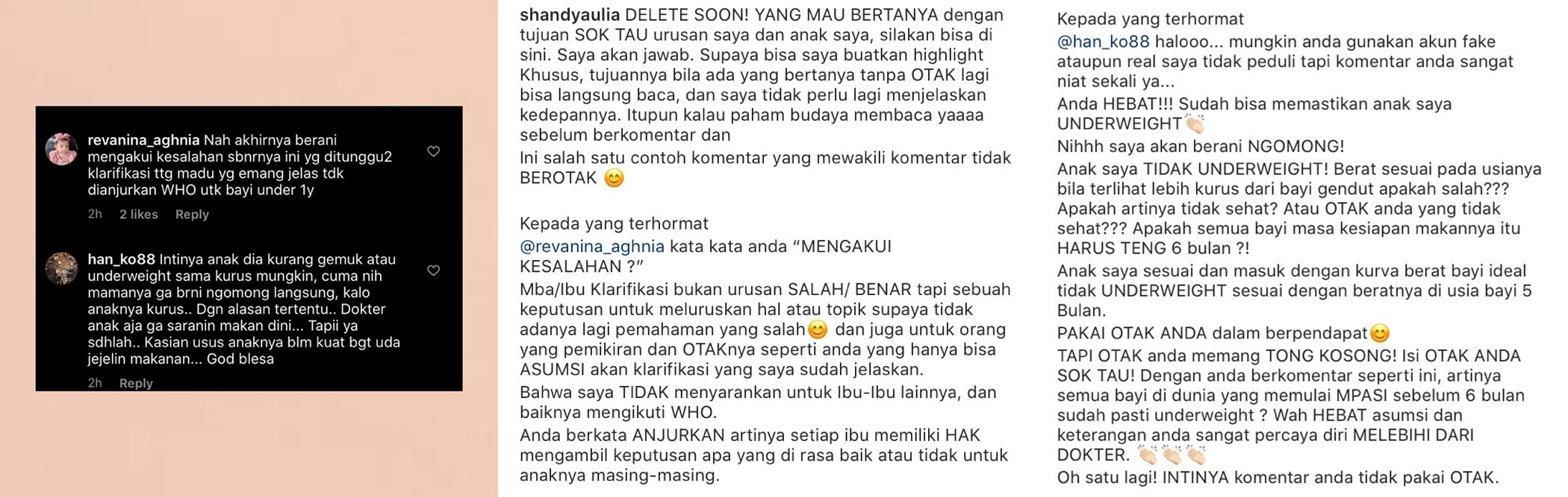 Kesabarannya Habis Membaca Komentar Nyinyir Warganet Soal Madu, Shandy Aulia Luapkan Kekesalannya