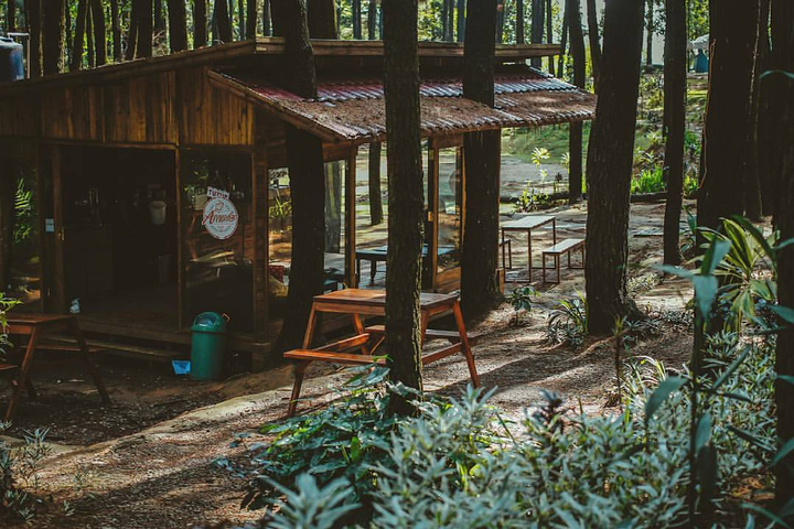 10 Kafe Tersembunyi dalam Hutan yang Bisa Kamu Kunjungi. Seru Nih Buat Pecinta Kafe 'Aesthetic!'