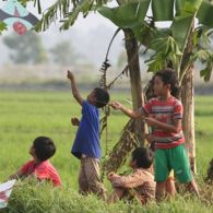 5 Kejadian Kocak yang Terjadi Saat Main Layangan. Sayangnya Sekarang Udah Nggak Bisa Kayak Gini~