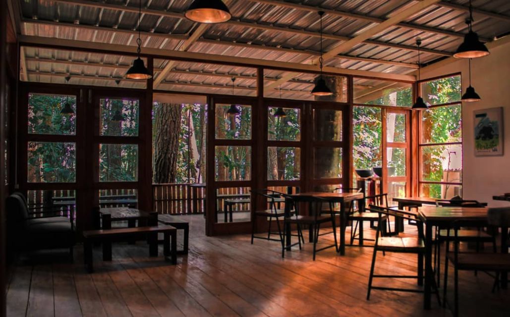 10 Kafe Tersembunyi dalam Hutan yang Bisa Kamu Kunjungi. Seru Nih Buat Pecinta Kafe 'Aesthetic!'