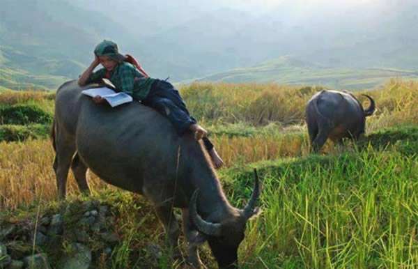 11 Potret Kelakuan Kocak yang Jadi Bukti Bahwa Setiap Orang Punya Style Belajar Masing-Masing